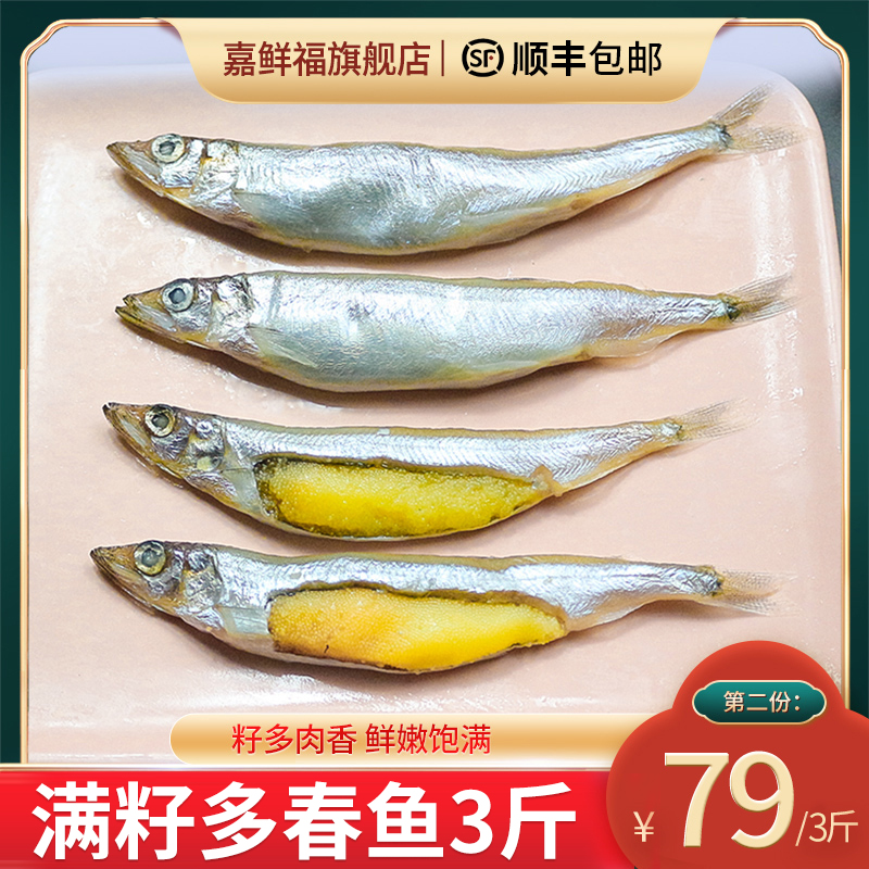 多春鱼满籽多春鱼海鲜满籽