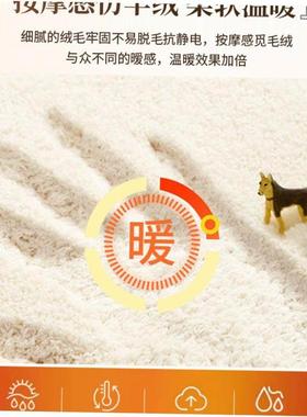 carpets rug home carpet living room mat floor rugs 客厅地毯