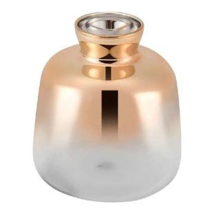 Gold Glass Electroplated Nordic Flower Vase