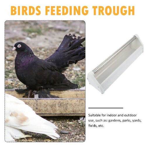 Birdfeeders Pigeon Chicken Duck Trough Pet Food Container Bi