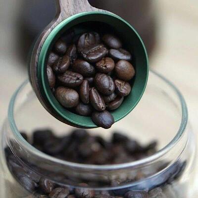 Coffee Measuring Spoon 12g Coffee Measuring Tool Dishwasher