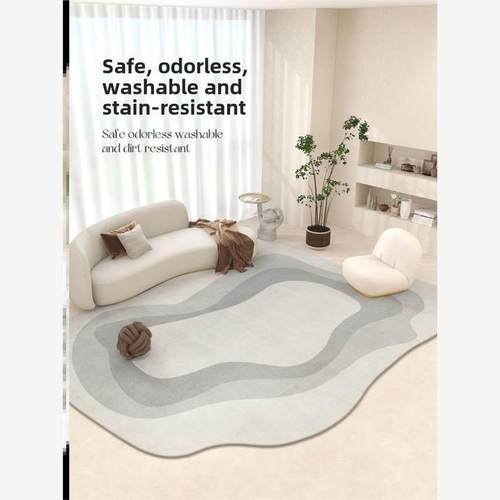 Living room rug shaped sofa bedroom floor mat carpet 地毯