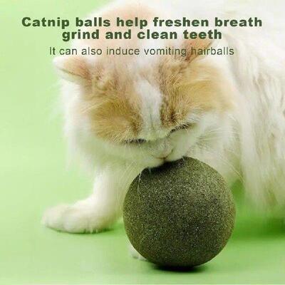 Super Large Catnip Ball 10cm Cat Grass Self-Hi Relieving