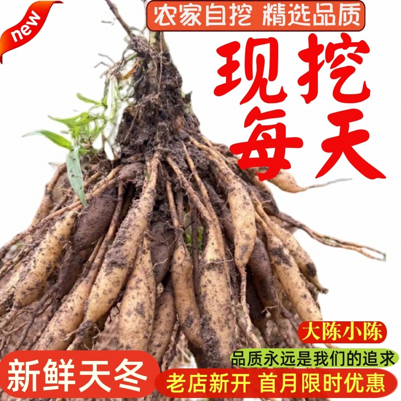 现挖天门冬新鲜天冬酿酒中药材泡酒干货广西天然三百棒500克山货