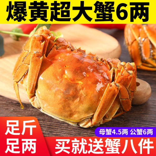 大闸蟹六两价格 大闸蟹六两图片 星期三