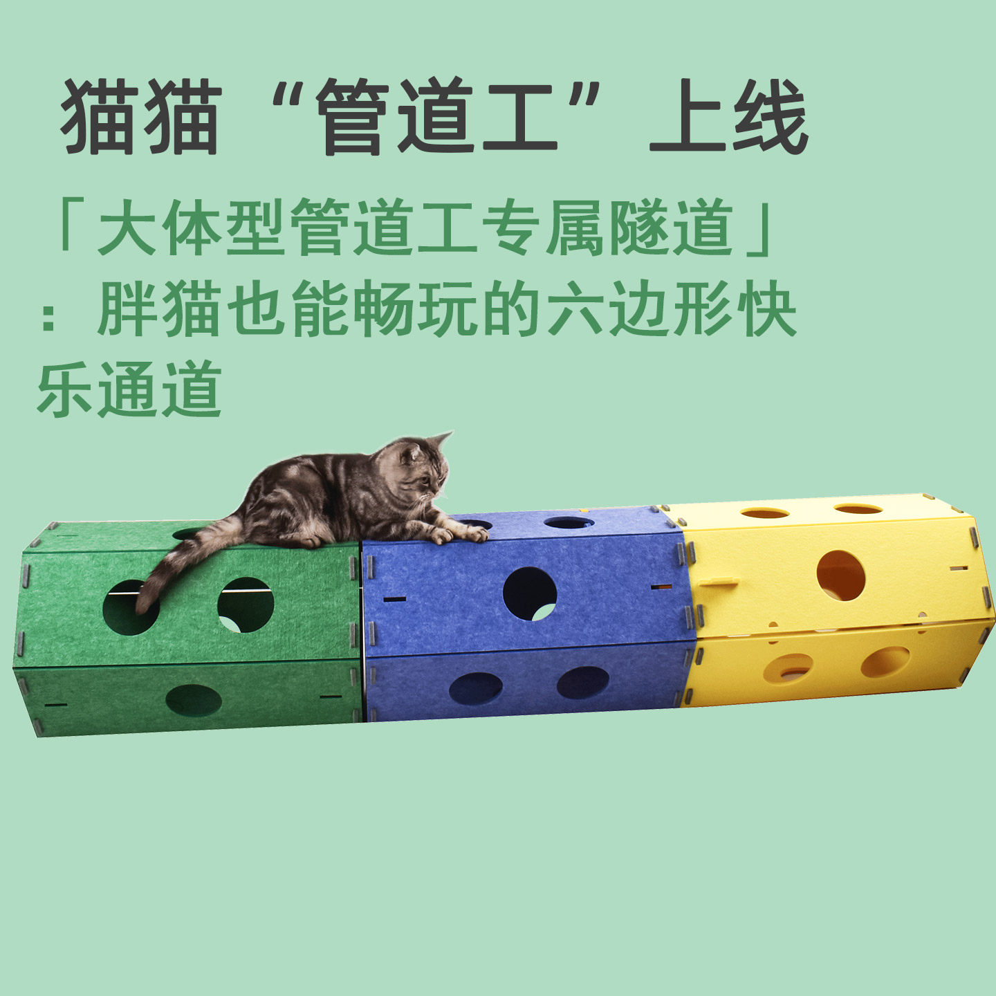 黄绿蓝管道猫隧道大体型管道工猫钻洞玩具胖猫六边形通道猫咪玩具,宠物/宠物食品及用品,猫隧道,淘宝优惠券,粉丝福利购,淘宝优惠卷