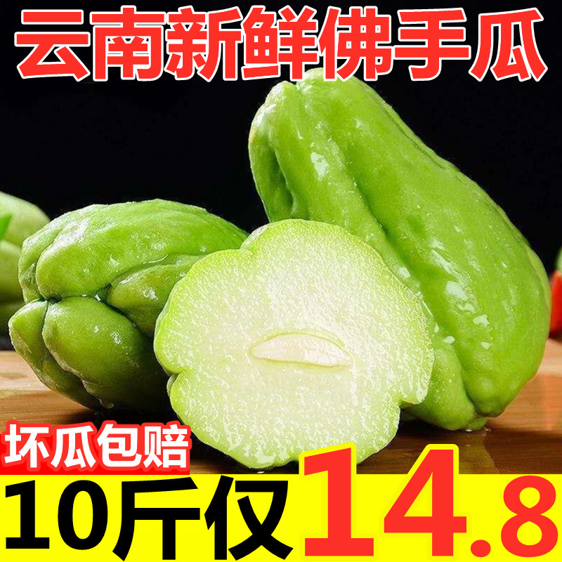 佛手瓜新鲜 价格 怎么样 图片