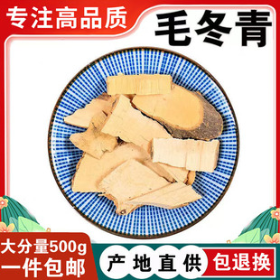 毛冬青根 毛冬青根 纯根细叶毛冬青毛披树根乌尾丁500克