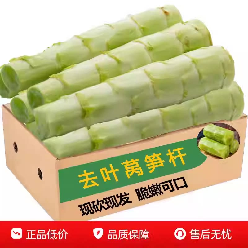 当季新鲜农民自种去叶莴笋杆