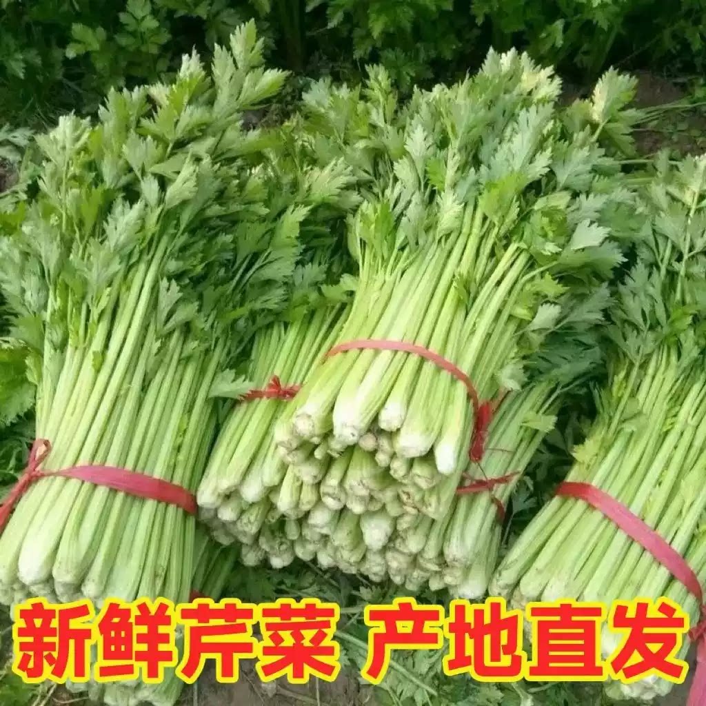 新鲜带叶本地芹菜芹3-5斤装炒拌