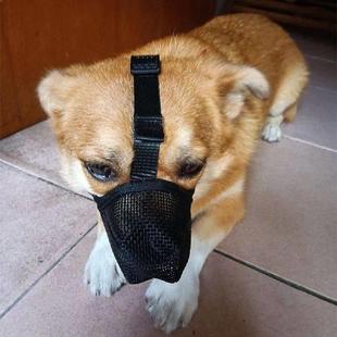 Mesh Dogs Dog Bark Muzzles Pet Bite Muzzle Anti Mouth