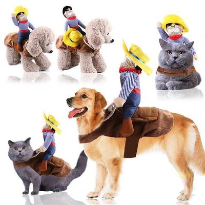 Pet dog and cat transform into funny costumes Halloween pet