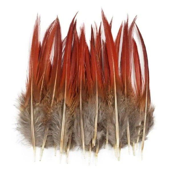 40/48Pcs Assorted Natural Feathers Bulk Long Big Feathers