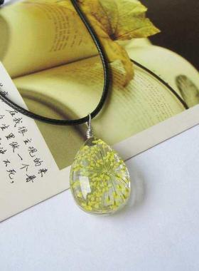 Plant glass ball necklace four-leaf grass dried flower dande