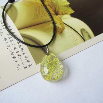 Plant glass ball necklace four-leaf grass dried flower dande