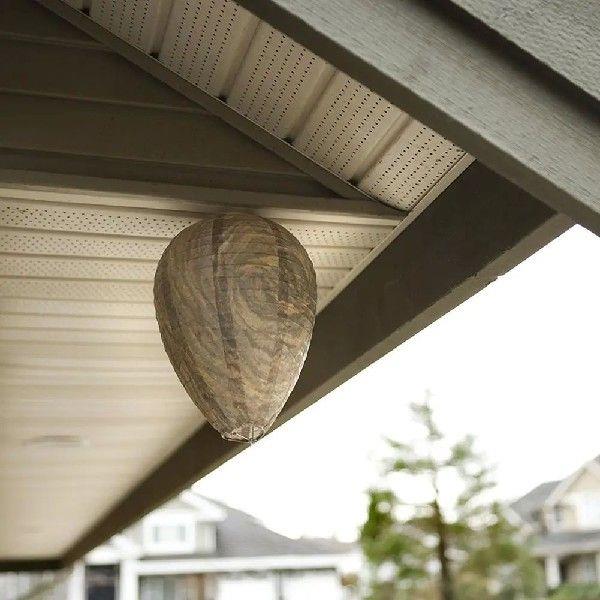 Non-Toxic Hornet Wasp Nest Decoy 11x8.7 inch Eco Friendly