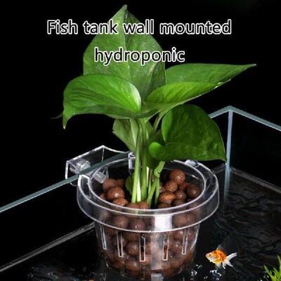 Aquariums Plant Holder Hanging for Plant Aquaponic Plant