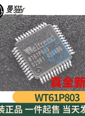 WT61P803 WELTREND QFP48 全新原装 一个7元 一个起拍 现货可直拍