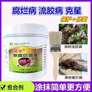 果树腐烂病流胶病树木伤口植物愈合剂月季桃树果树修剪嫁接愈合膏