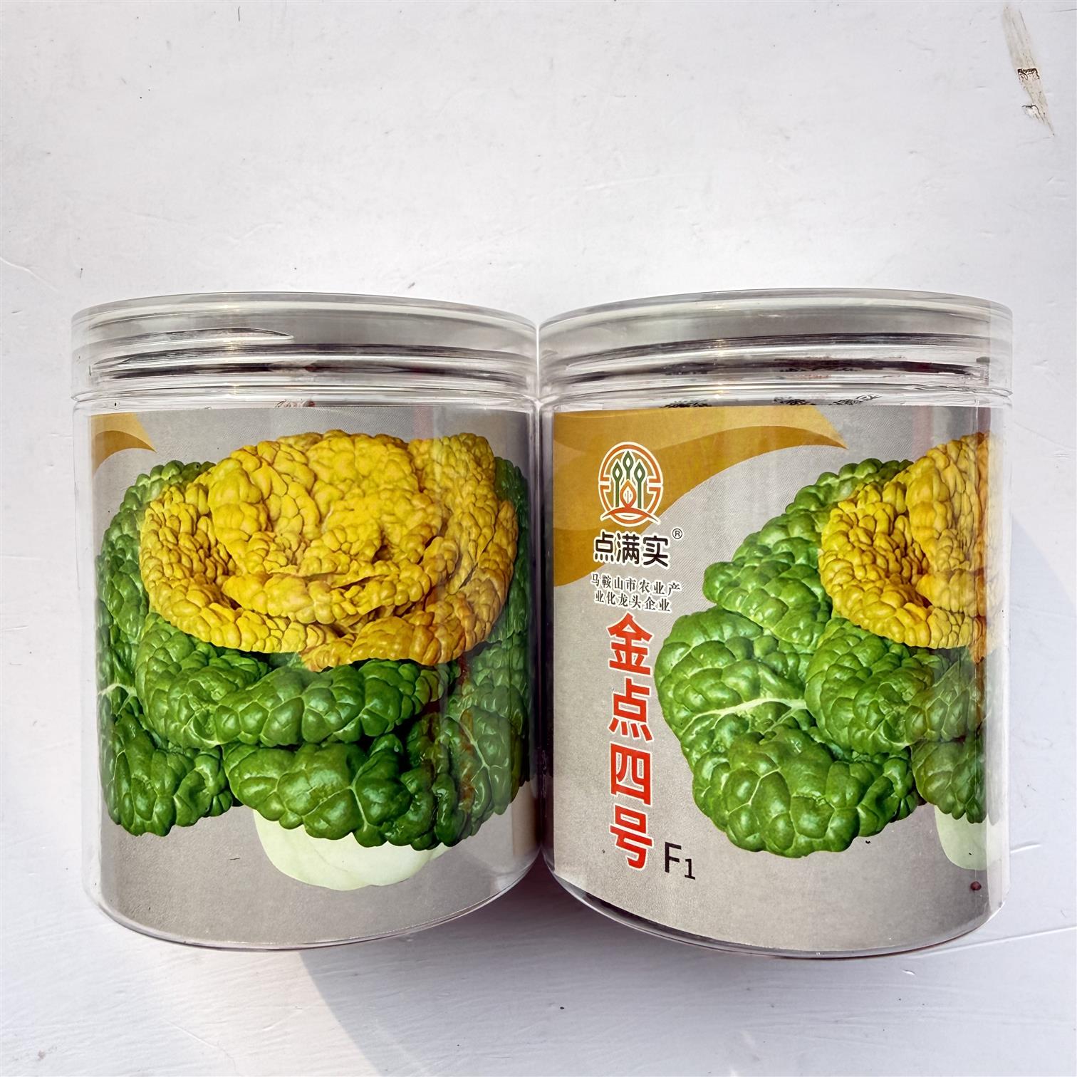 金点四号乌塌菜种子 软糯好吃黄心菊花菜耐寒秋季农田蔬菜种籽