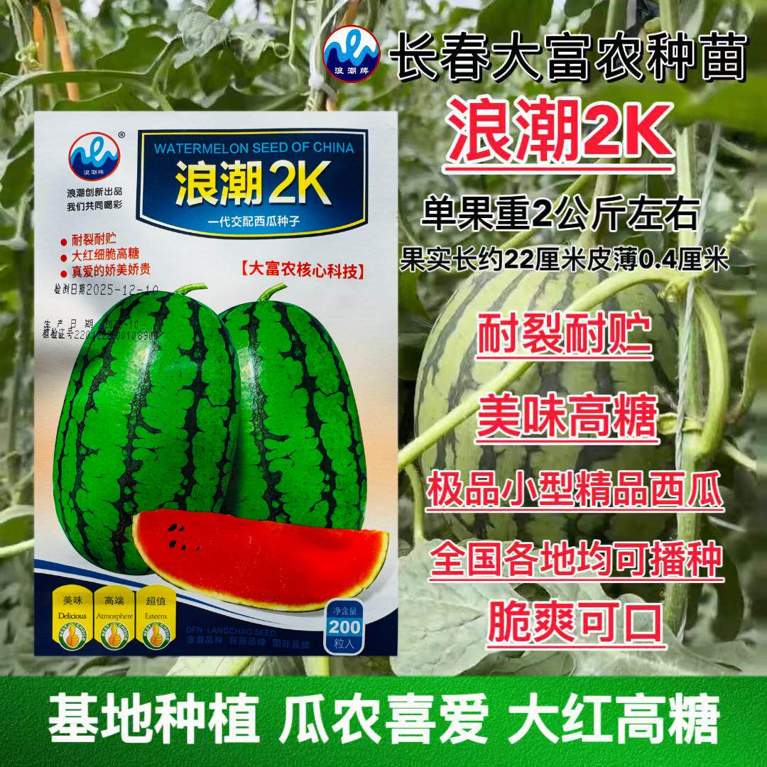 2K西瓜种子早熟高产耐裂耐贮大红细脆高糖小型礼品西瓜种籽孑