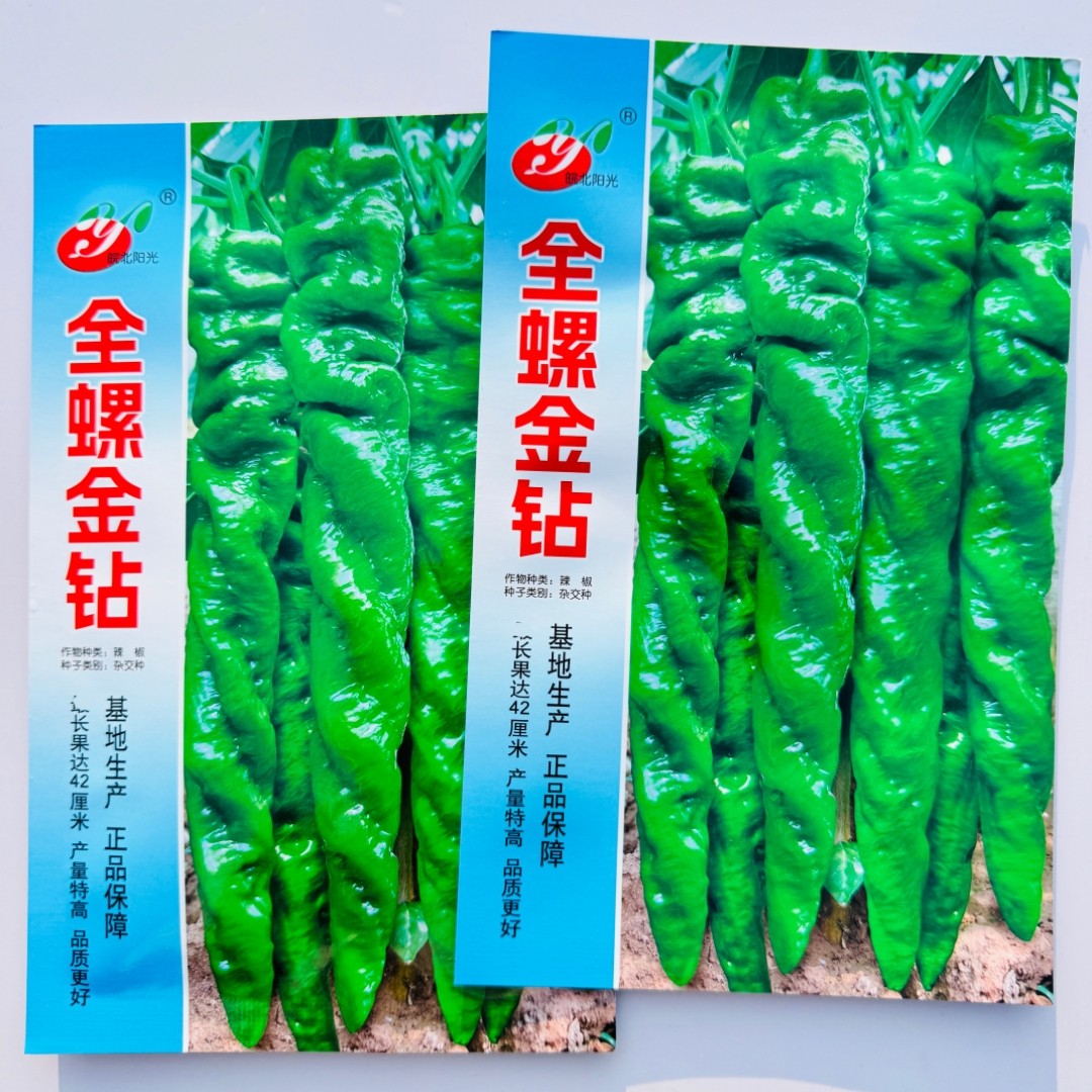 全螺金钻辣椒种子农家中早熟全螺丝椒青椒种籽脆嫩辣味适中辣椒孑