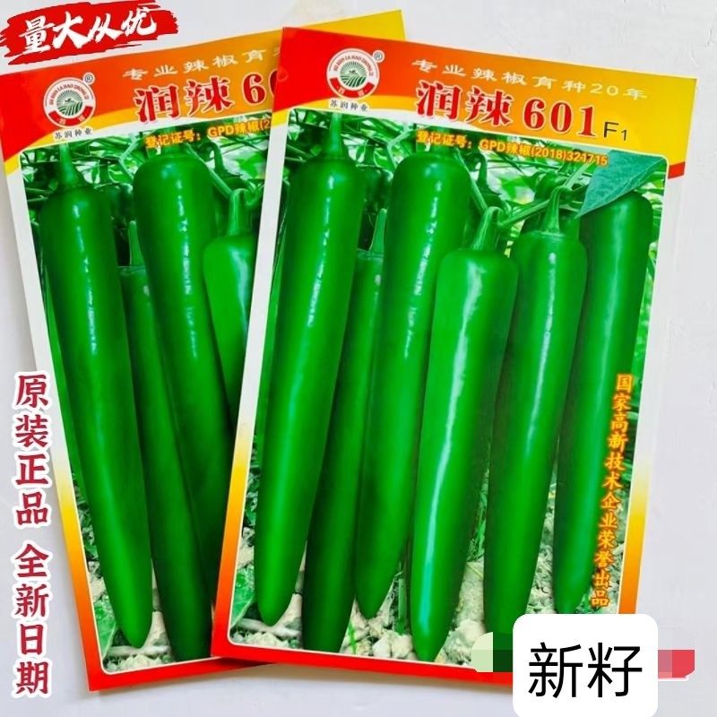 润辣601辣椒种子农家大田春秋播抗病高产耐热耐湿粗牛角椒种
