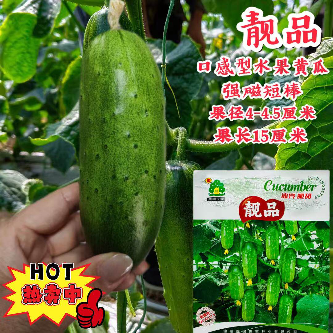 靓品水果黄瓜种子早熟强雌口感型水果黄瓜种子甜脆短棒小青瓜种子