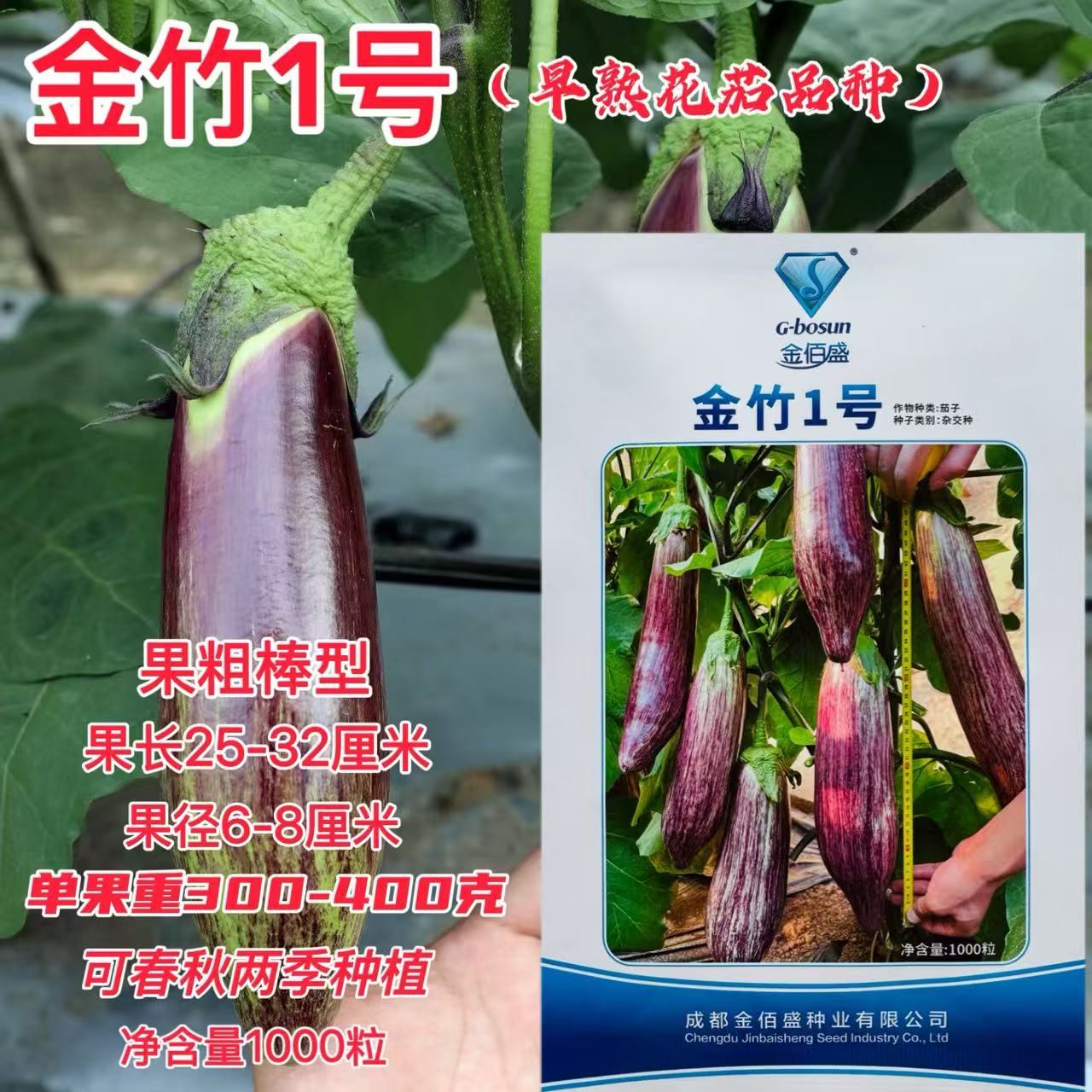 金竹1号早熟茄子种子 花茄品种果实粗棒型商品好采收期长色亮度好
