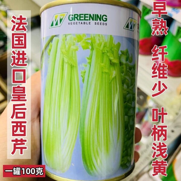 皇后芹菜种子正宗法国tezier公司正品皇后西芹种子正品原装种子
