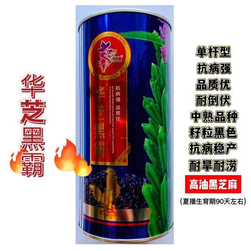 高产芝麻种子黑芝麻种籽胡麻籽华芝黑霸抗病高油脂麻种春夏秋菜种