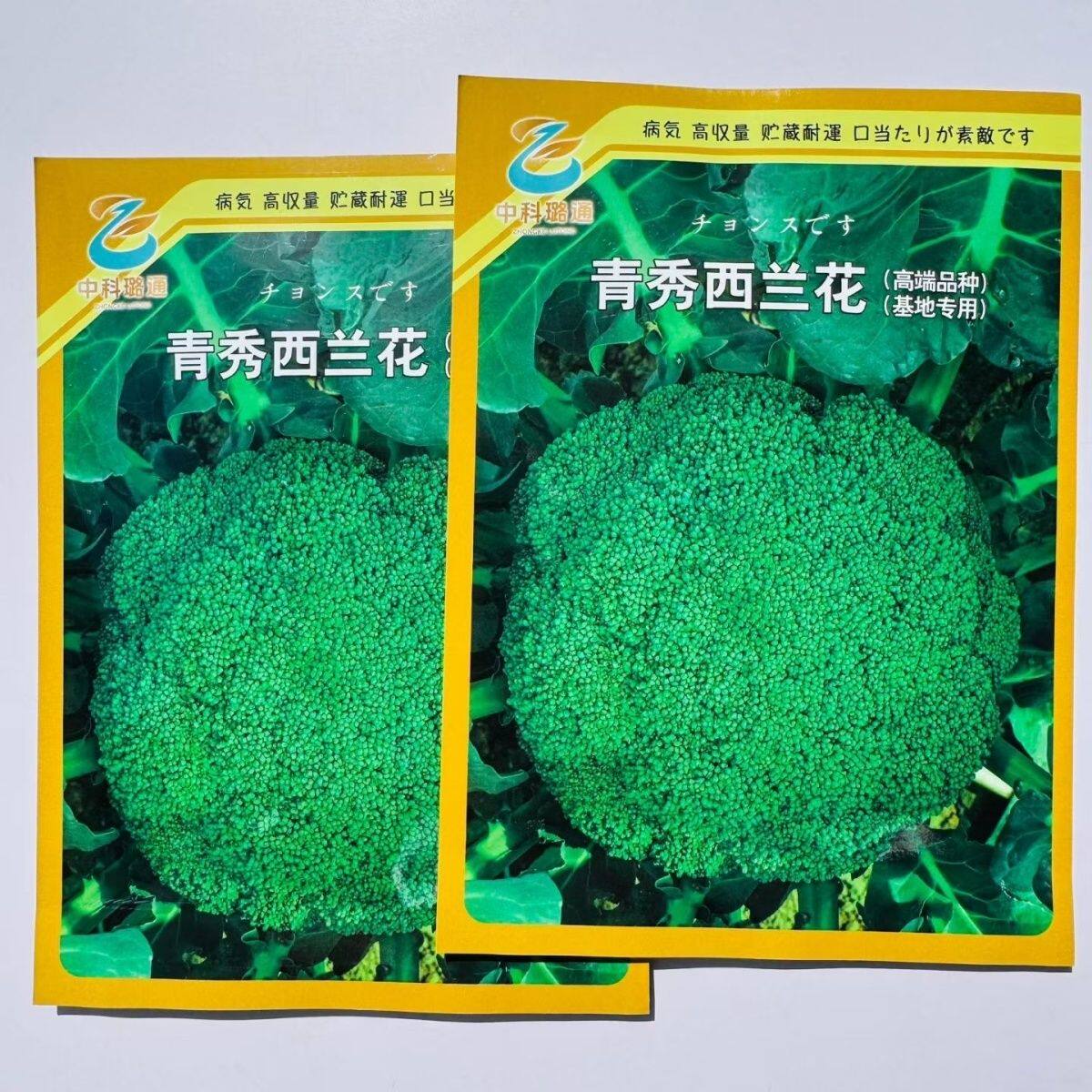 青秀西兰花种子 杂交中熟西兰花种子 春秋季深绿色花椰菜西蓝花