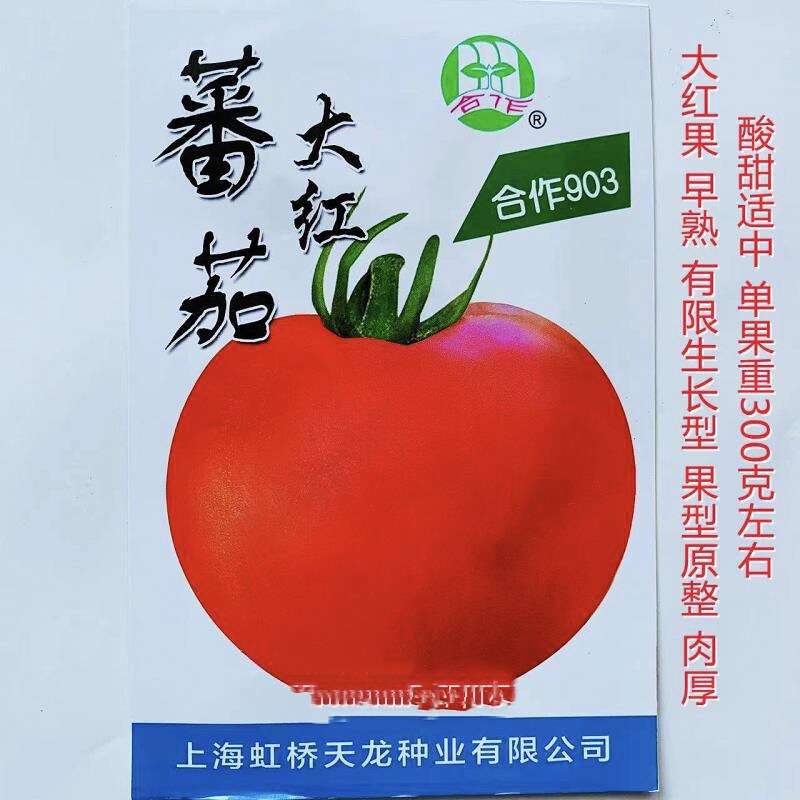 上海合作903粉红番茄种子早熟高产春秋种植大红西红柿种子大棚种