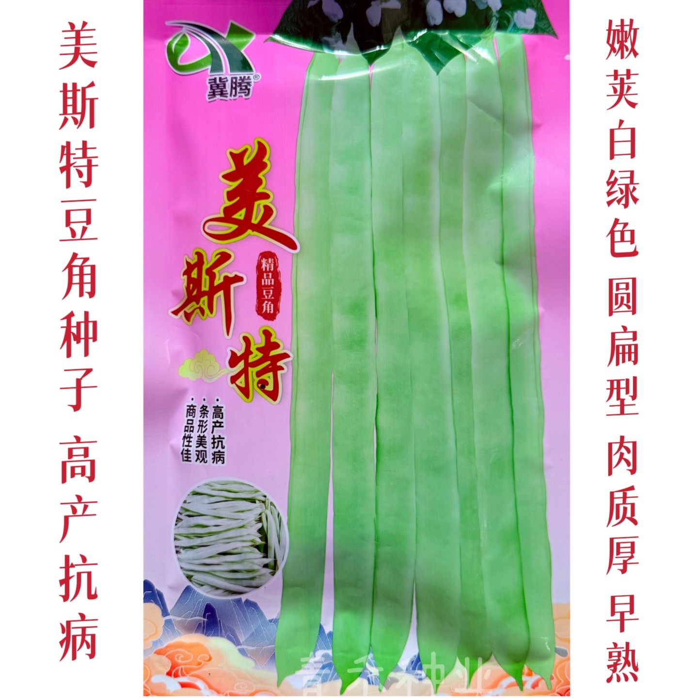 豆角种子美斯特精品豆角种籽春秋播圆扁型芸豆种孑高产抗病蔬菜种