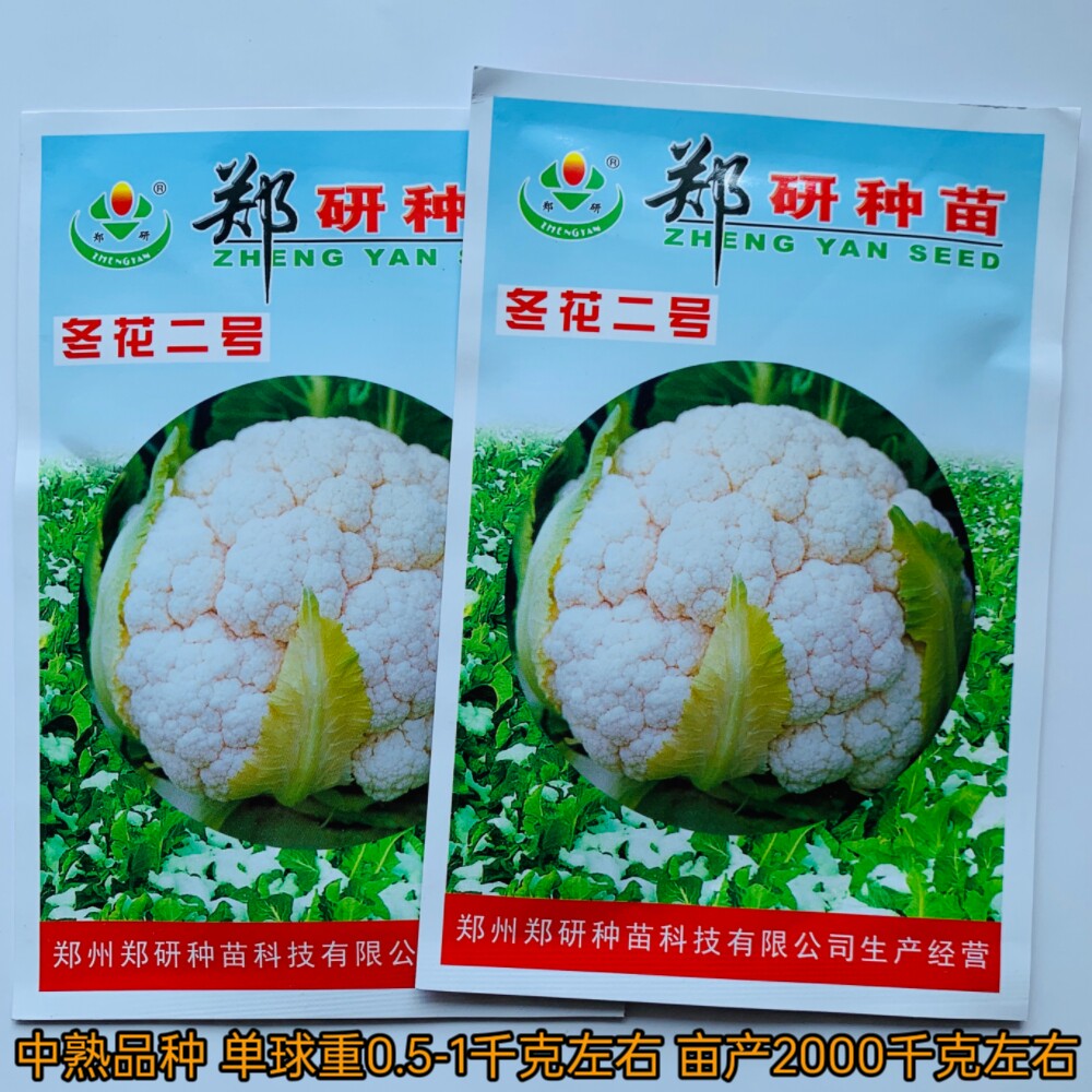 郑研冬花二号花椰菜种子