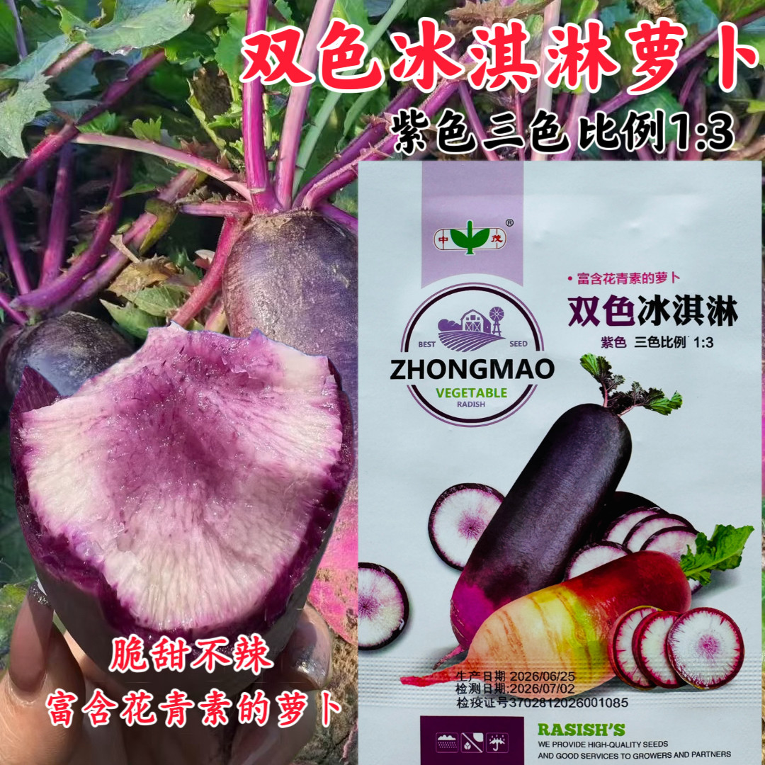 正品双色冰淇淋萝卜种子冰糖心水果萝卜脆甜不辣水果凤梨脆甜沙窝
