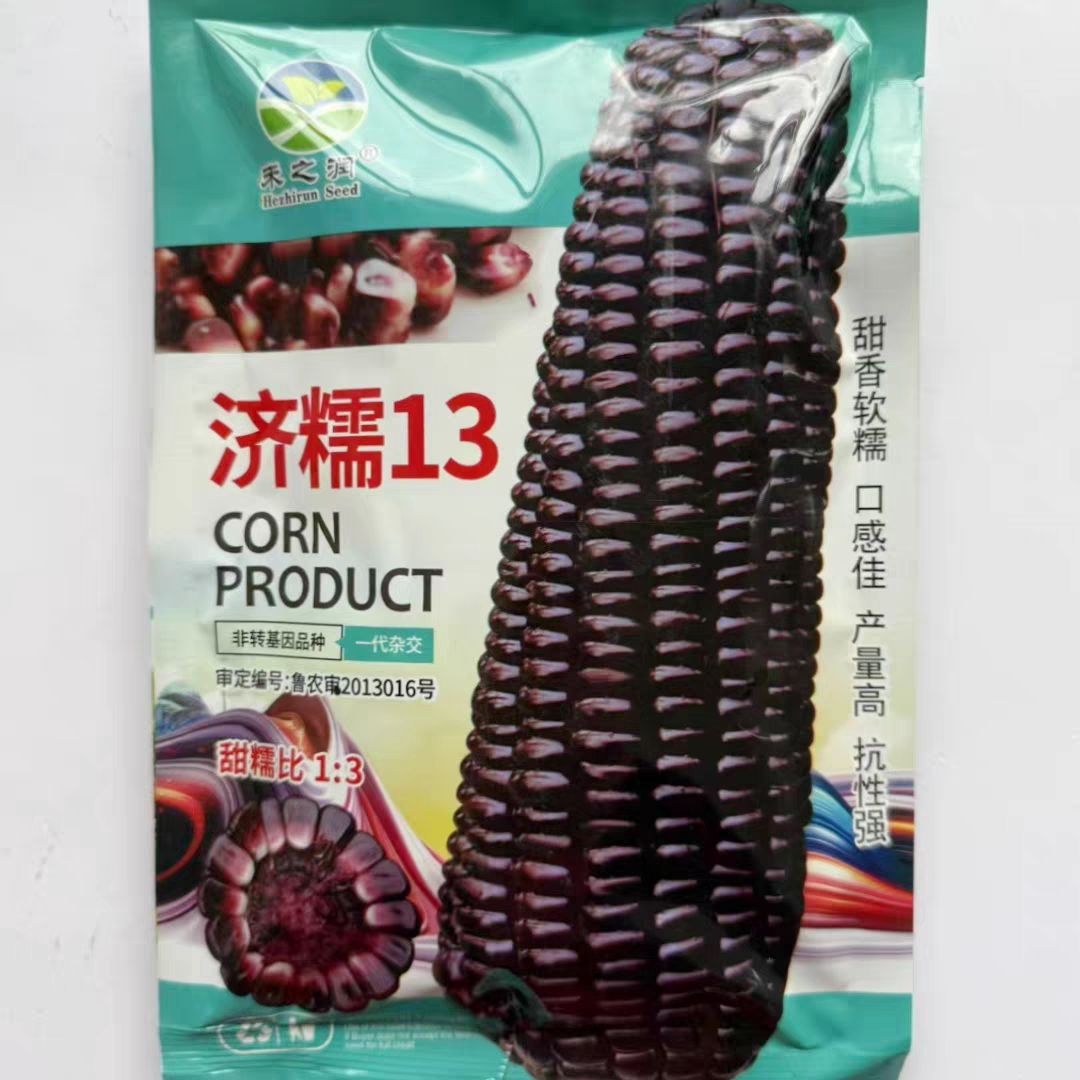 济糯13黑甜糯玉米种子早熟软糯香甜甜糯玉米孑大棒粘糯黑苞谷种籽