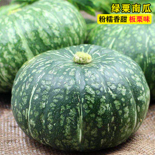 南瓜种子日本香甜粉糯早熟爬藤绿皮板栗味大田四季贝贝甜栗种籽孑