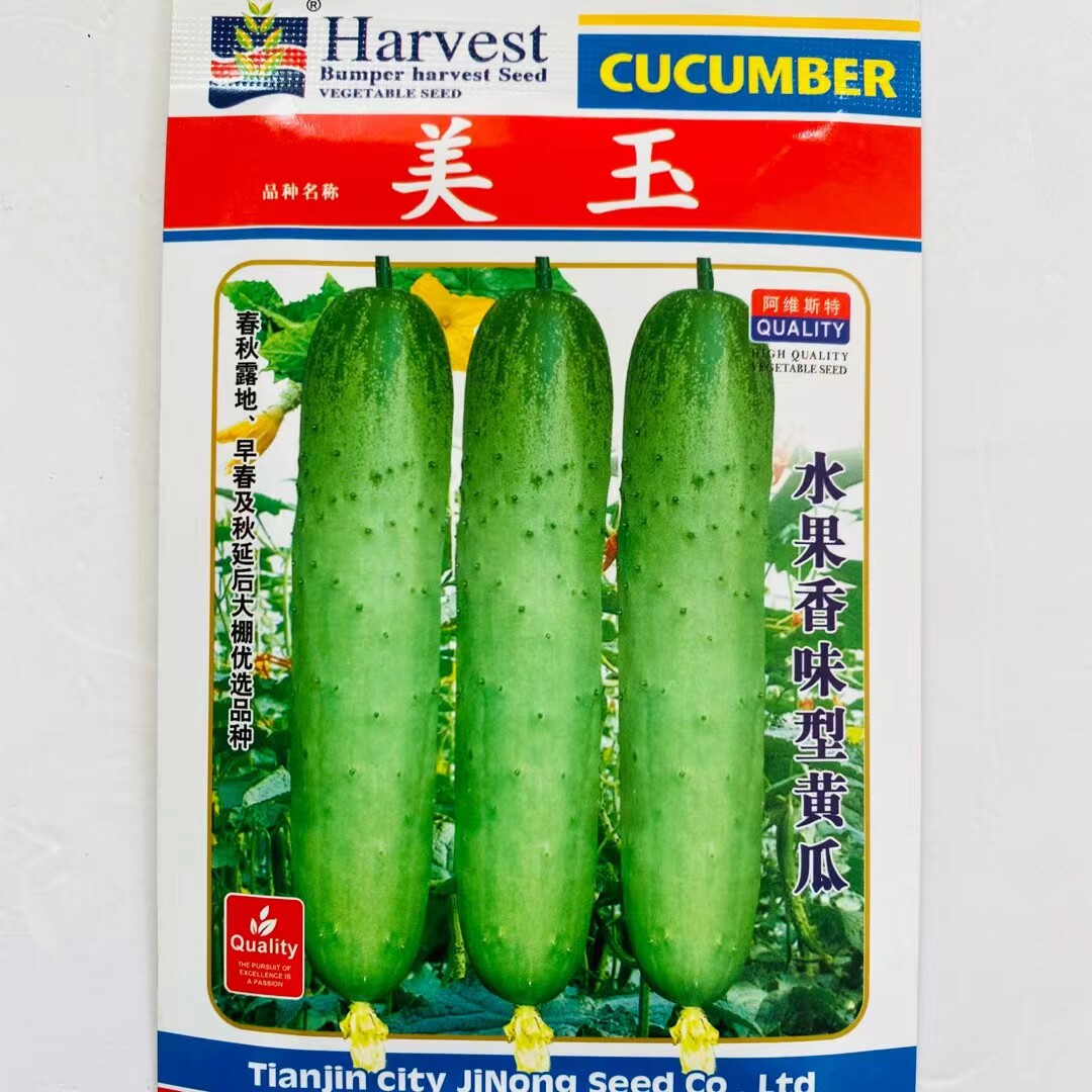 阿维斯特美玉黄瓜种子早
