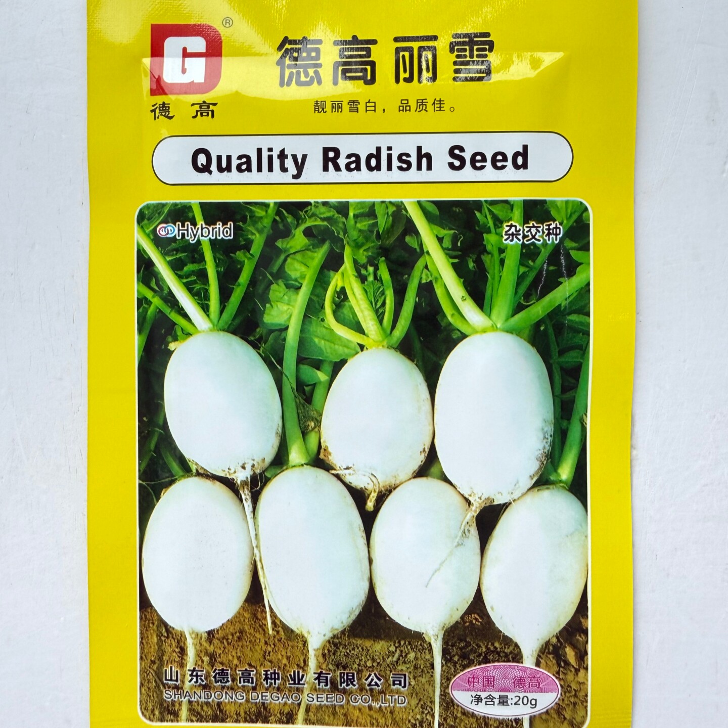 丽雪圆白萝卜种籽杂交水果萝卜种子白皮白肉口感好春秋季播种