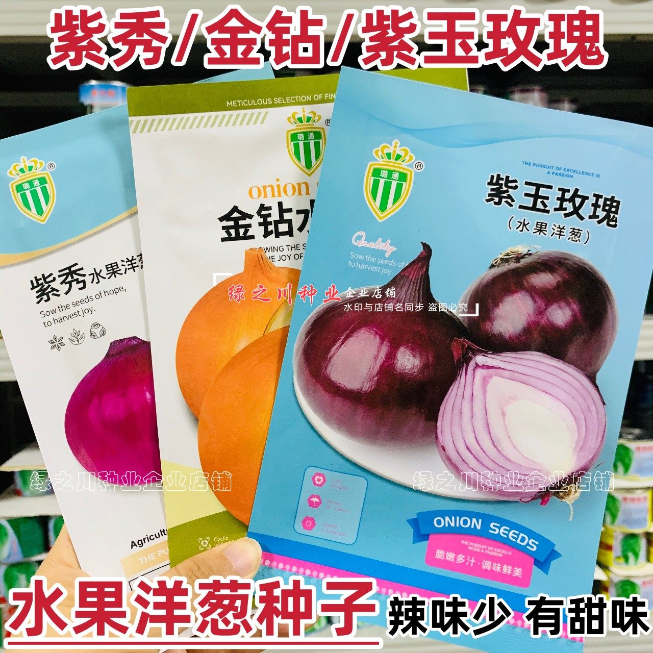 水果洋葱种孑大全黄皮圆