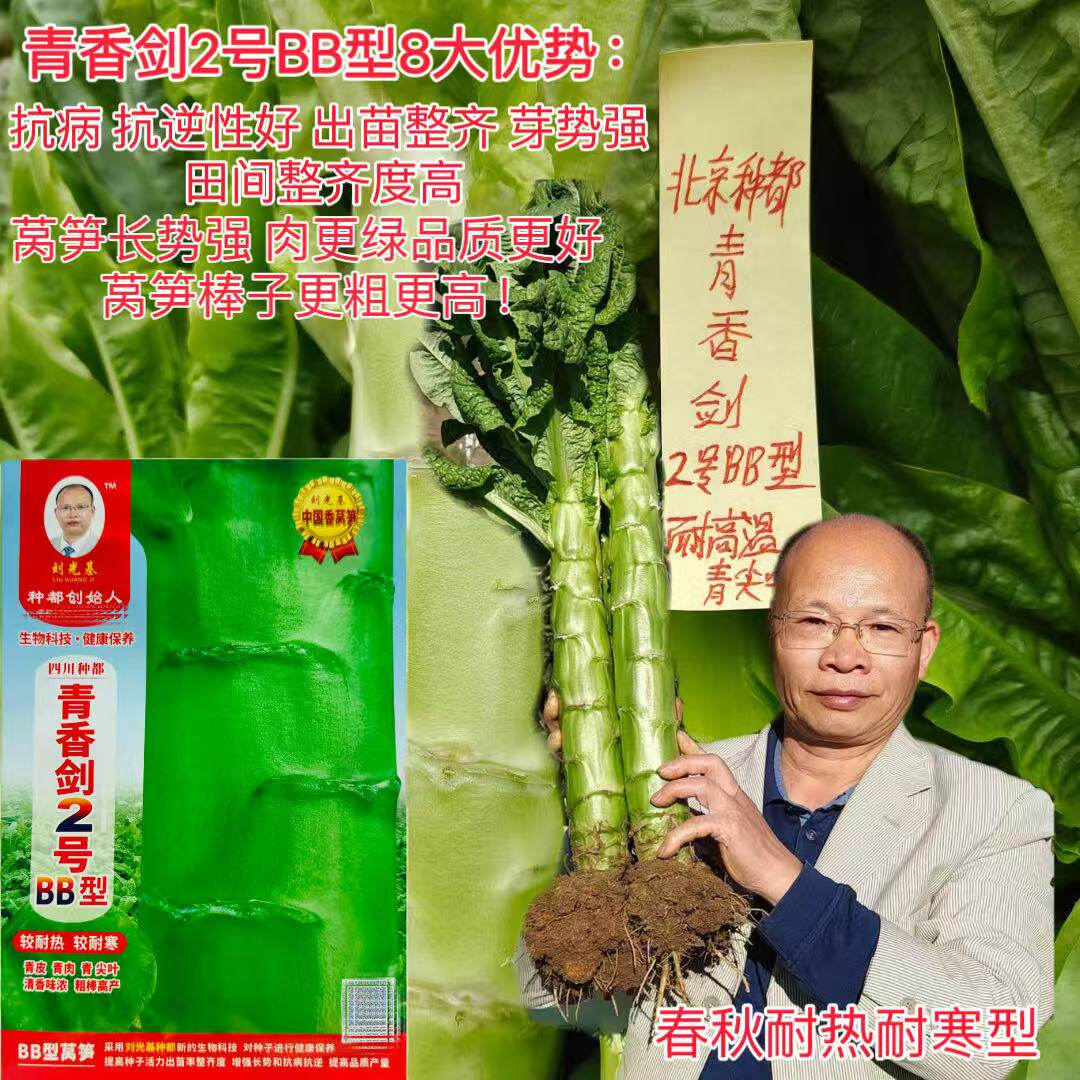 种都青香剑二号BB型三青