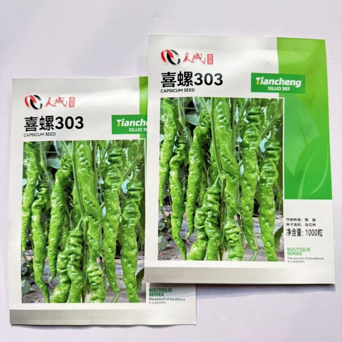 喜螺303全螺麻面螺丝椒种子 早熟杂交果绿顺直螺旋度好脆甜香辣