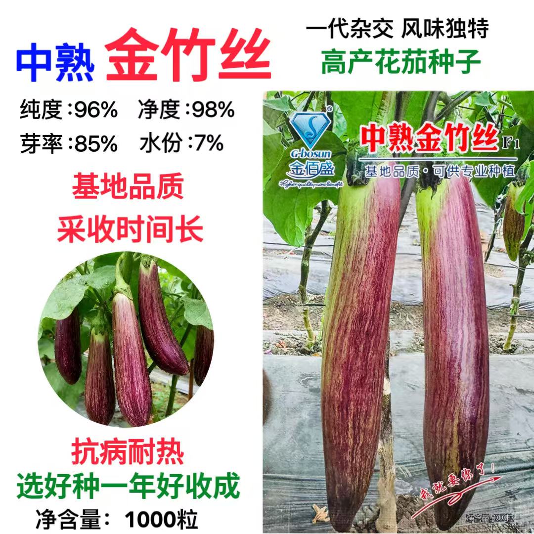 中熟金竹丝茄种子耐味甜长茄中熟花茄子高产抗病阳台家庭蔬菜种子