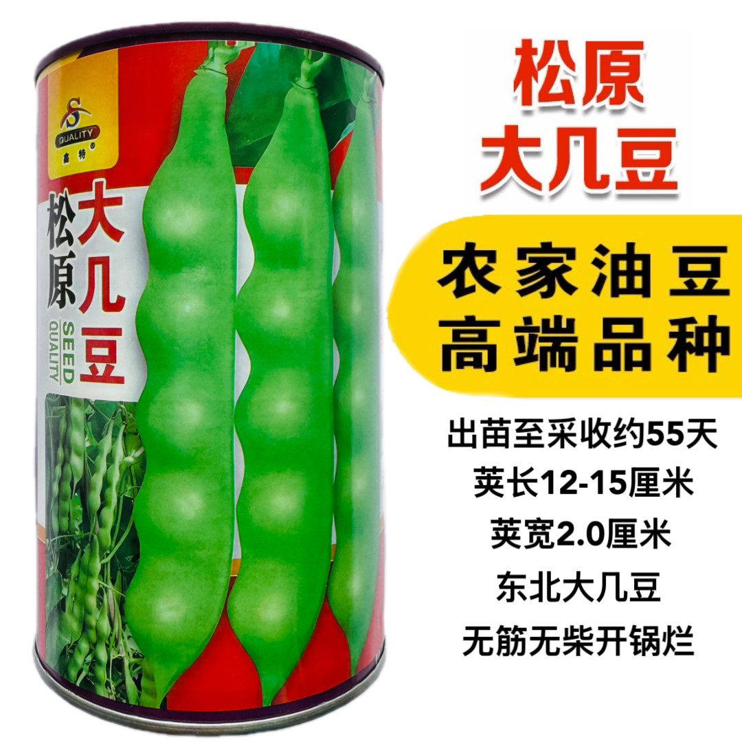 鑫特松原大几豆种子茎蔓生早熟荚嫩绿色圆角鼓豆抗病适应性强油豆