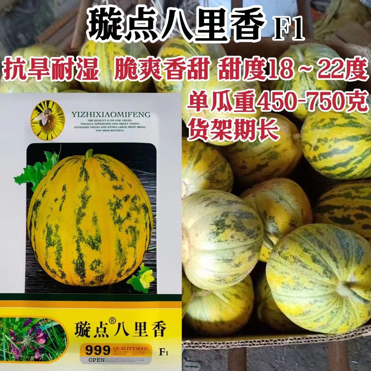璇点八里香甜瓜种子正品原装糖度高抗旱耐湿脆爽香甜香瓜种子高糖