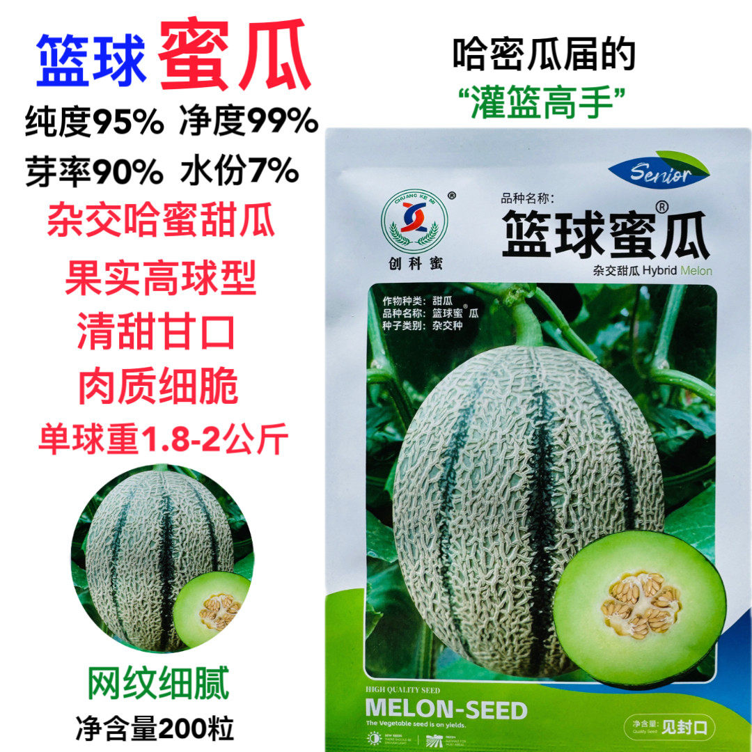 篮球蜜瓜种子清甜甘口肉质细嫩杂交哈密甜瓜种子网纹细脆 春夏播