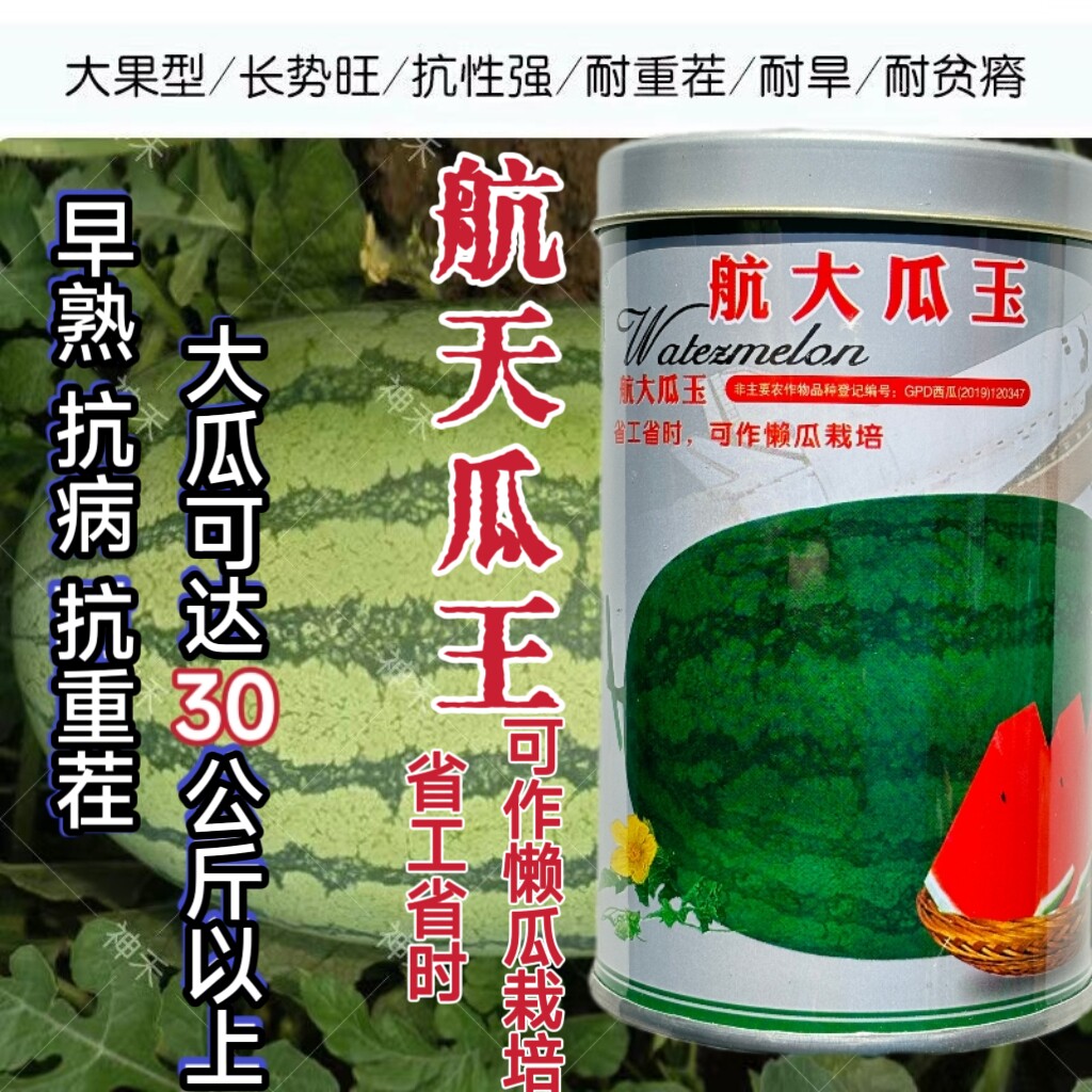 航大瓜王西瓜种子抗病薄