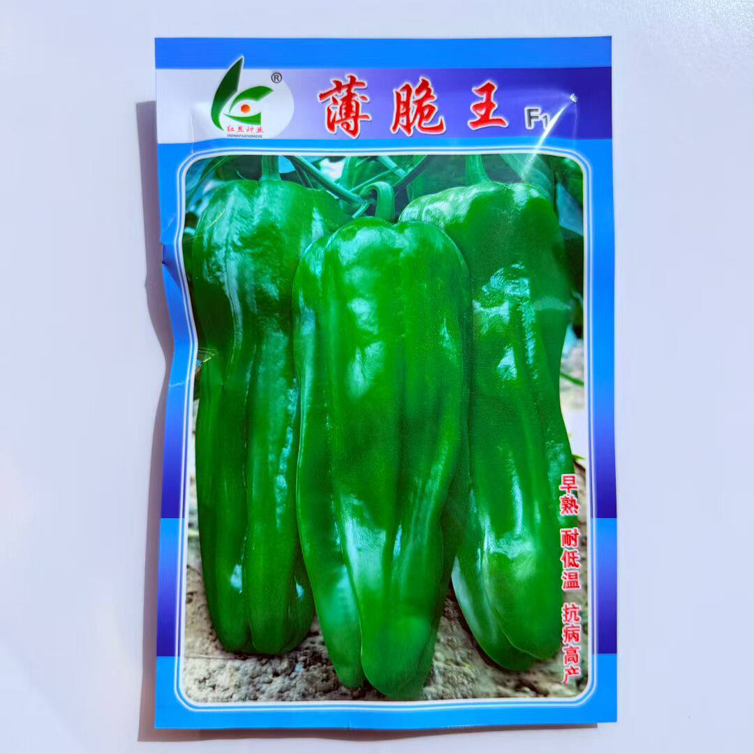薄脆王早熟薄皮青椒种子四季播蔬菜种子大田阳台可盆栽虎皮青椒籽