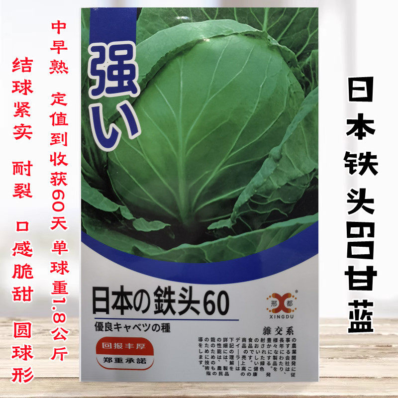 日本铁头60甘蓝种子包菜种籽卷心菜耐热春夏秋季播种四季蔬菜种孑